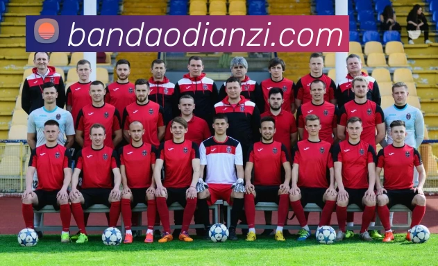 半岛电子发展历程